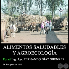 ALIMENTOS SALUDABLES Y AGROECOLOGA - Ing. Agr. FERNANDO DAZ SHENKER - 24 de Agosto de 2016